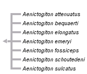 taxon links