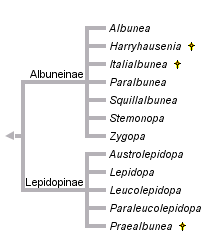 taxon links