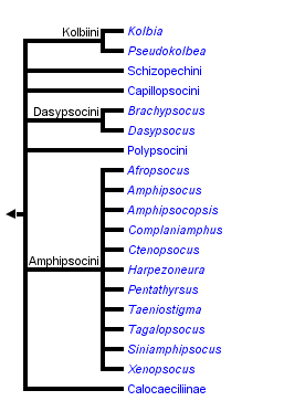 taxon links