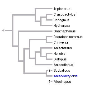 taxon links