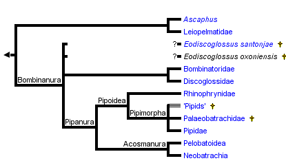 taxon links