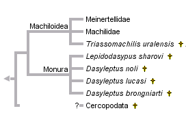 taxon links