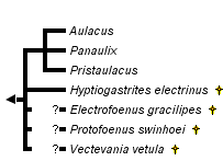 taxon links