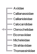 taxon links