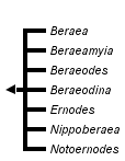 taxon links