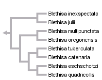 taxon links