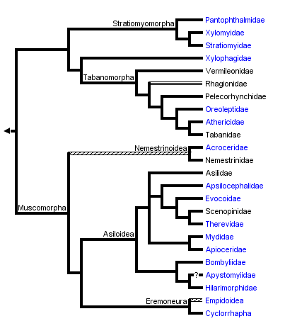 taxon links