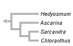 taxon links