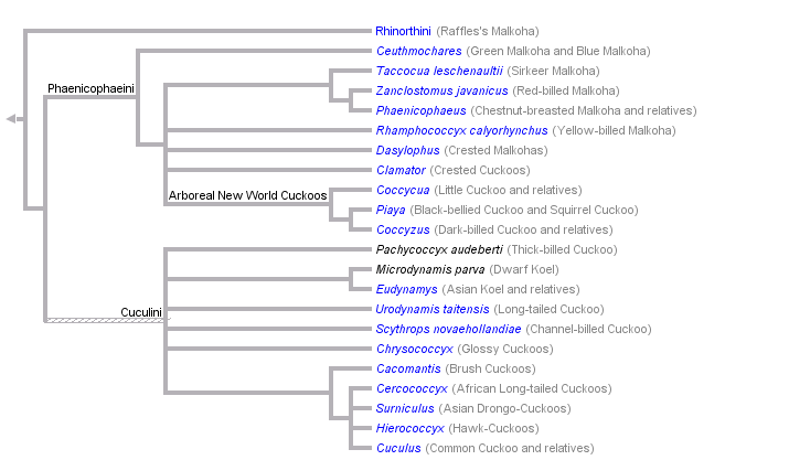 taxon links