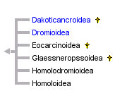 taxon links