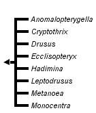 taxon links