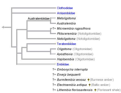 taxon links