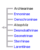 taxon links