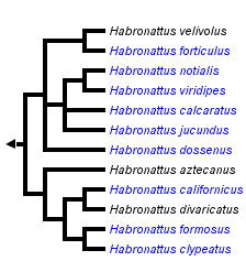 taxon links