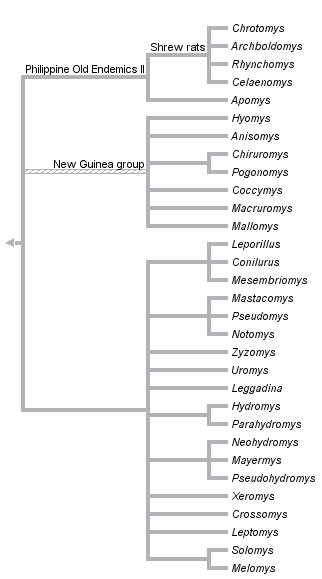 taxon links