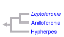 taxon links