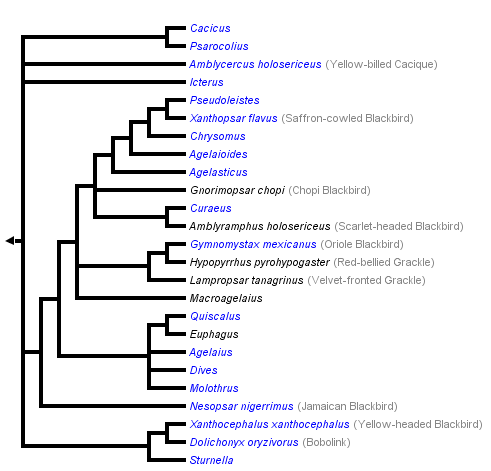 taxon links