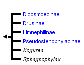 taxon links