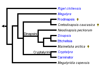 taxon links