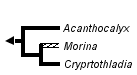 taxon links