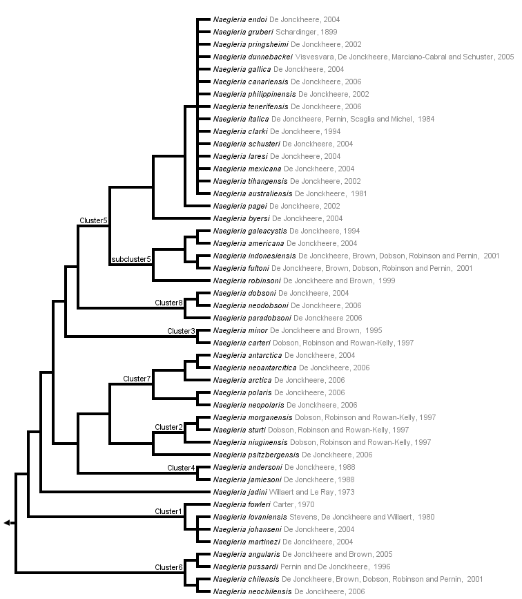 taxon links