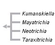 taxon links