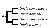 taxon links