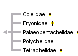 taxon links