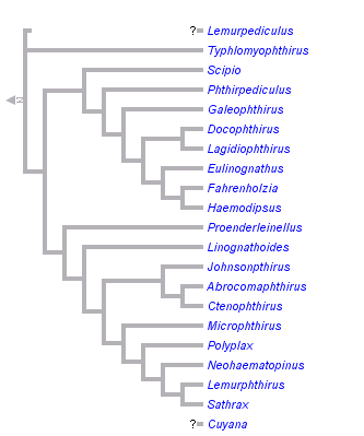 taxon links