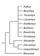 taxon links