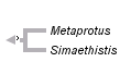 taxon links