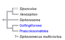 taxon links