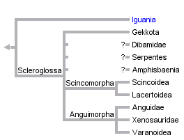 taxon links