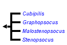 taxon links