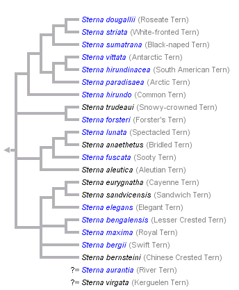 taxon links