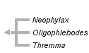 taxon links