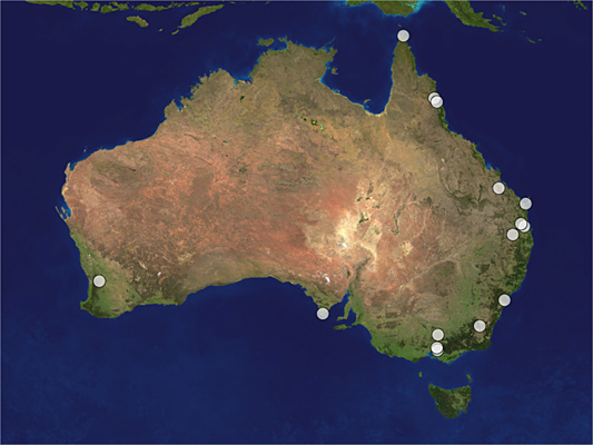 Distribution map of Megalyra wagneri