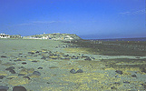 photograph of intertidal zone